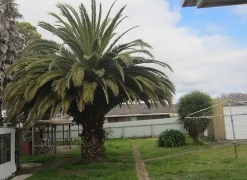 Fourth view of Homely house listing, 123 Nicholls Street, Devonport TAS 7310