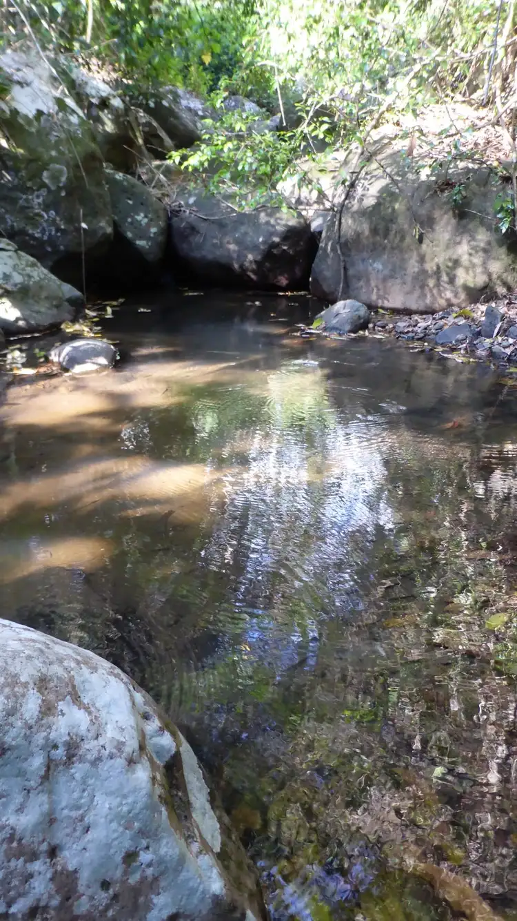 Third view of Homely rural property listing, 840 Blue Knob Road, Nimbin NSW 2480