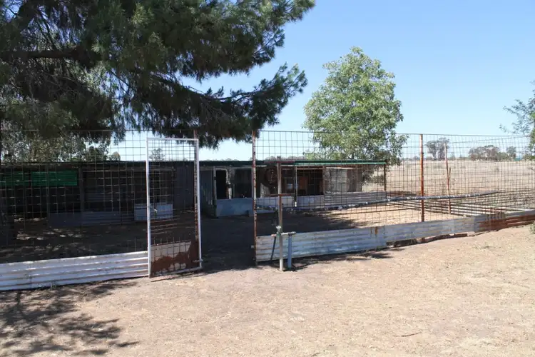 Fourth view of Homely house listing, 229 Wyoming Road, Gulgong NSW 2852