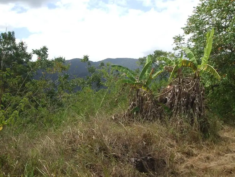 Fifth view of Homely land listing, 600 Gorge Road, Finch Hatton QLD 4756