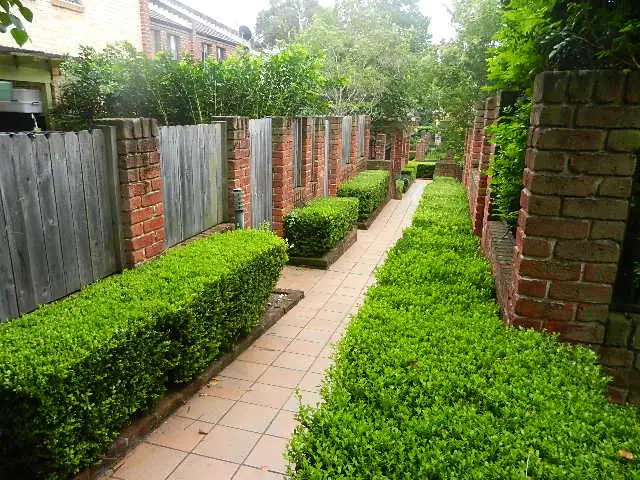 Fourth view of Homely townhouse listing, TH 19, 24 - 36 Pacific Highway, Wahroonga NSW 2076