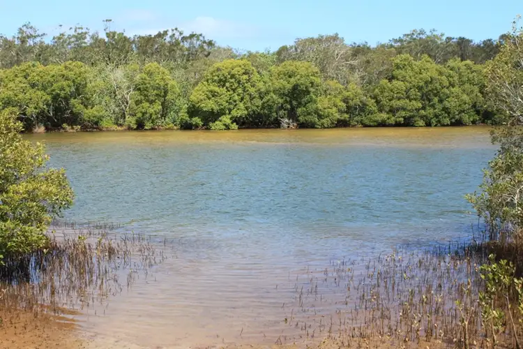 Fifth view of Homely land listing, Lot 429,189 Overall Drive, Pottsville NSW 2489