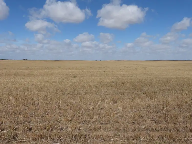 Second view of Homely rural property listing, 49 Gurrai Road, Parilla SA 5303