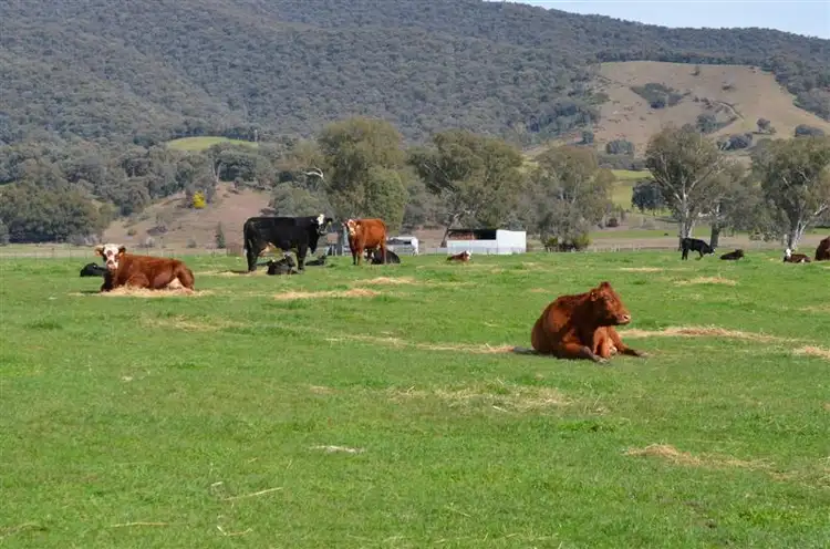 Main view of Homely rural property listing, 559 Blowering Road, Tumut NSW 2720