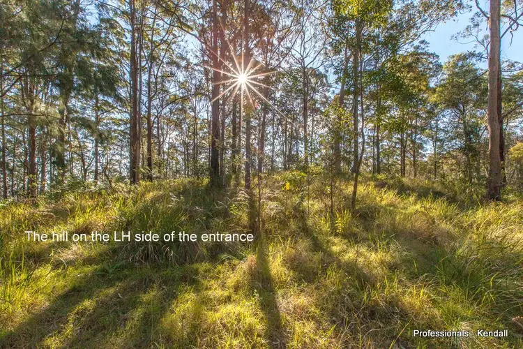 Second view of Homely land listing, 905A Main Western Road, Tamborine Mountain QLD 4272