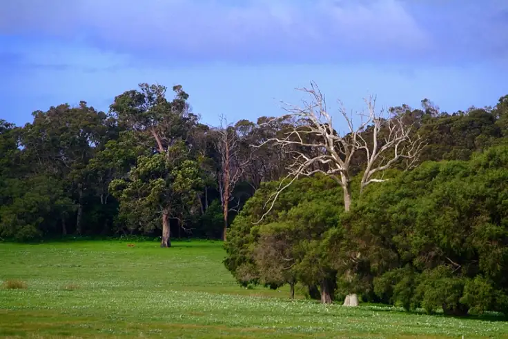 Main view of Homely land listing, 215/744 Burnside Park, Margaret River WA 6285