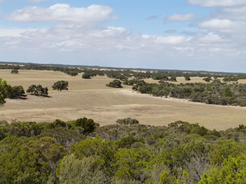 Main view of Homely rural property listing, 1845 Pinnaroo-Bordertown Rd, Pinnaroo SA 5304