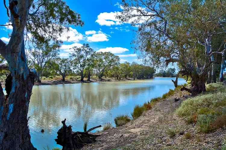 14 Arrandale Lane North, Wentworth NSW 2648