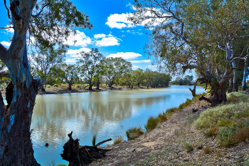 Main view of Homely house listing, 14 Arrandale Lane North, Wentworth NSW 2648