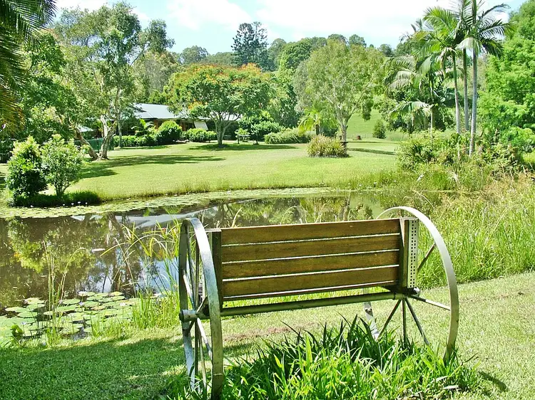 Main view of Homely rural property listing, 36 Yandala Place, Clothiers Creek NSW 2484