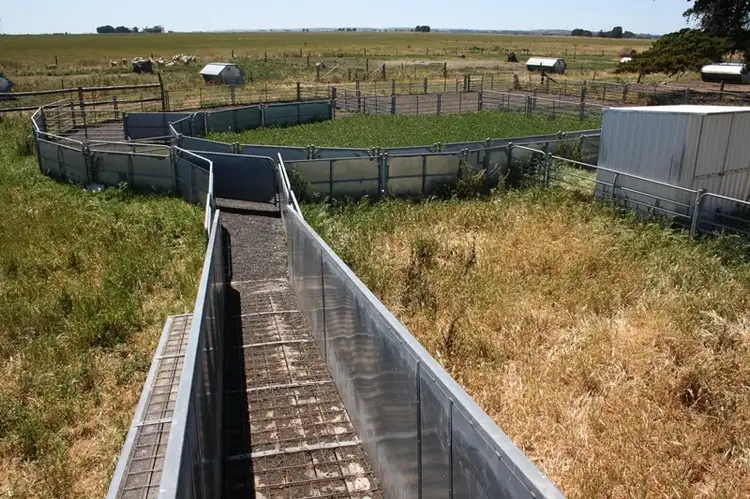 Fifth view of Homely rural property listing, Lot 100 Donoghues Road, Naracoorte SA 5271