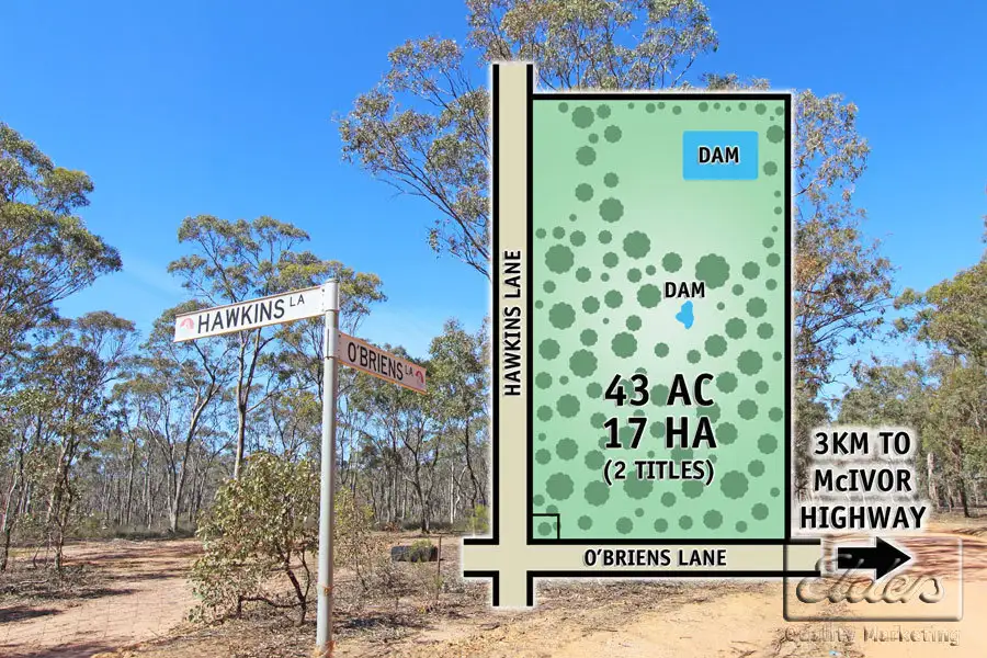 Main view of Homely rural property listing, Corner O'Briens Lane and Hawkins Lane, Longlea VIC 3551
