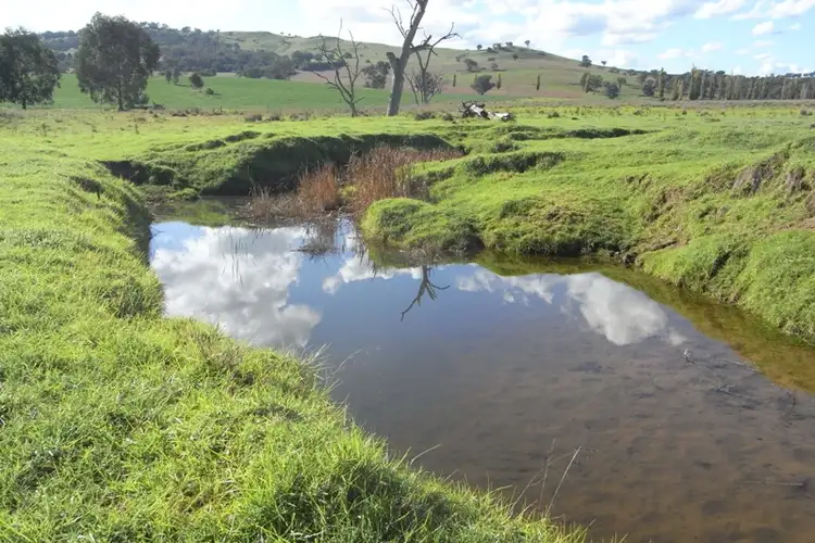 Third view of Homely rural property listing, 907 Darbys Falls Road, Cowra NSW 2794
