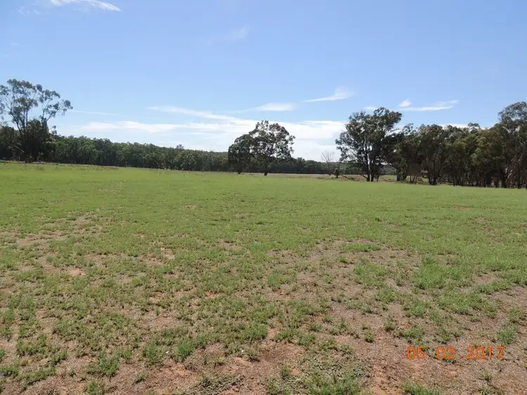 Seventh view of Homely rural property listing, 928 Timor Road, Coonabarabran NSW 2357