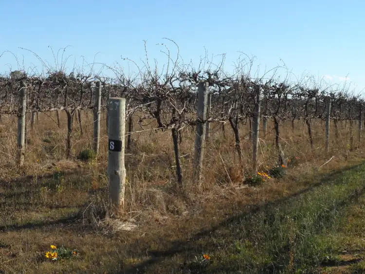 Fifth view of Homely rural property listing, Anderson & Derrick Roads, Loxton North SA 5333