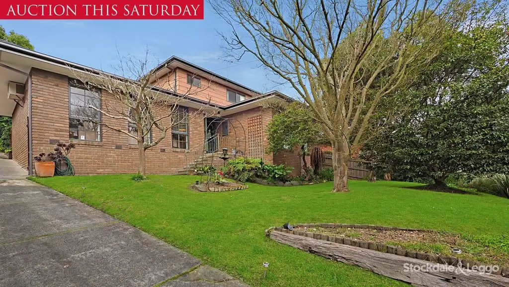 Main view of Homely house listing, 56 Melview Drive, Ringwood North VIC 3134