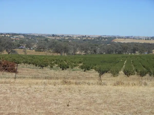 Seventh view of Homely rural property listing, 51 Cherry Vale Place, Young NSW 2594