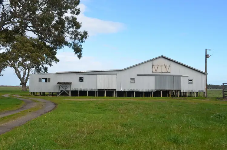 Second view of Homely rural property listing, 242 LDE Road, Millicent SA 5280