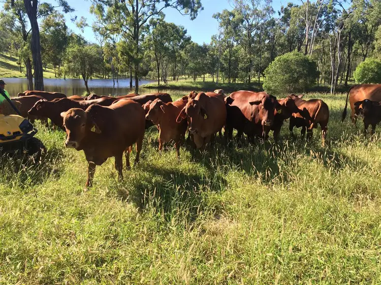 Third view of Homely rural property listing, . Lenz Road, Duaringa QLD 4712