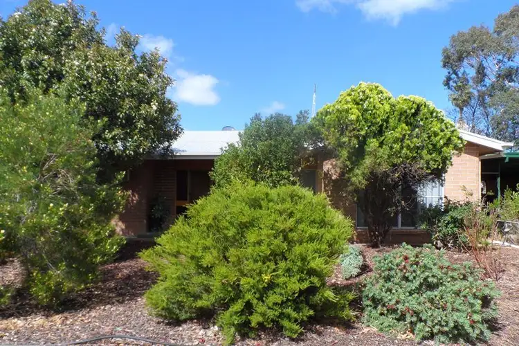 Second view of Homely house listing, 17 Myall Street, Renmark SA 5341