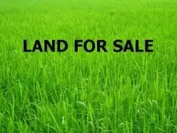 Main view of Homely land listing, 43 Wilga Road, Gol Gol NSW 2738