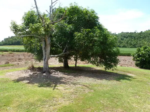 Seventh view of Homely rural property listing, Address available on request