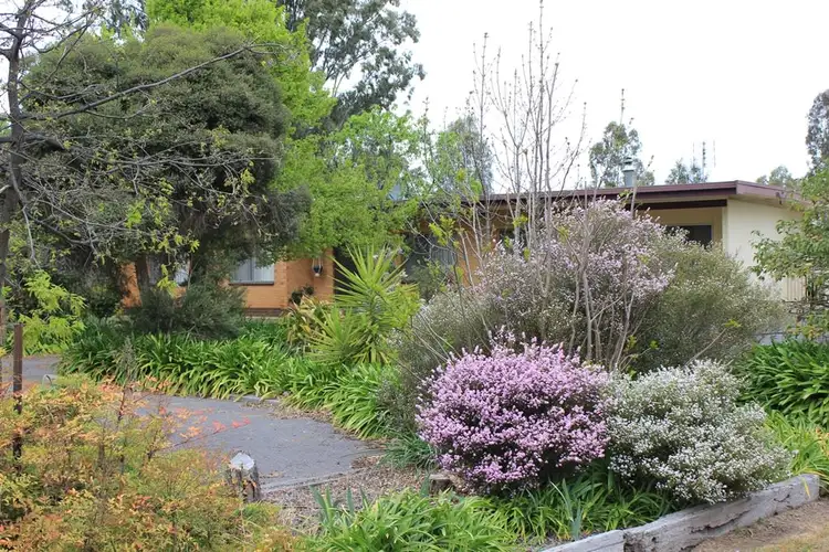 Fifth view of Homely house listing, 17 Shiffner Street, Violet Town VIC 3669