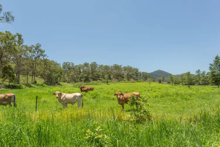 Fifth view of Homely rural property listing, 168 Sams Road, Dows Creek QLD 4754