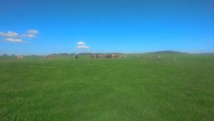 Fifth view of Homely rural property listing, 4397 Mitchell Highway, Orange NSW 2800