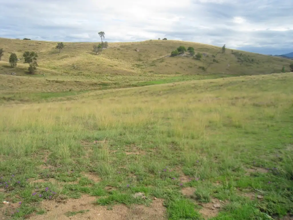 Main view of Homely land listing, Lot C Brianderry Rd, Bega NSW 2550