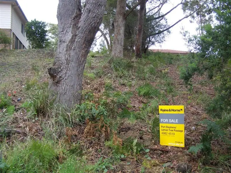 Main view of Homely land listing, 31 James Scott Crescent, Lemon Tree Passage NSW 2319