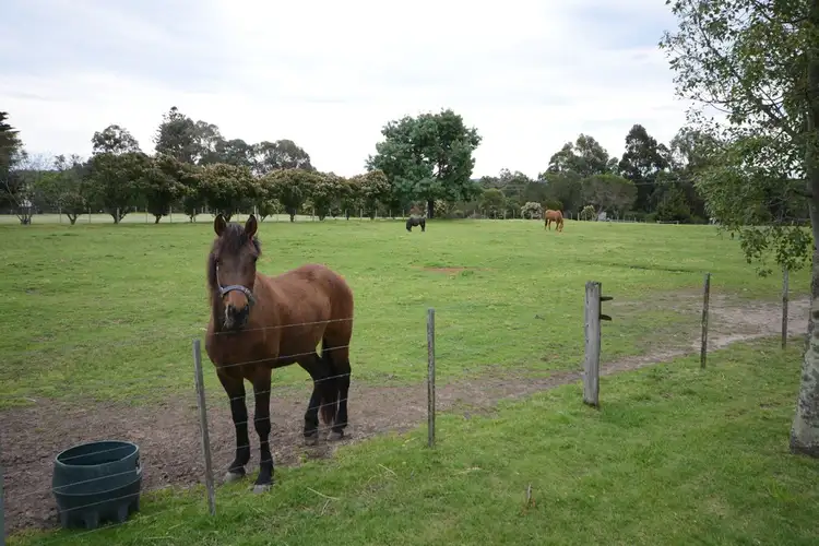 Second view of Homely house listing, 980 Princes Highway, Nicholson VIC 3882