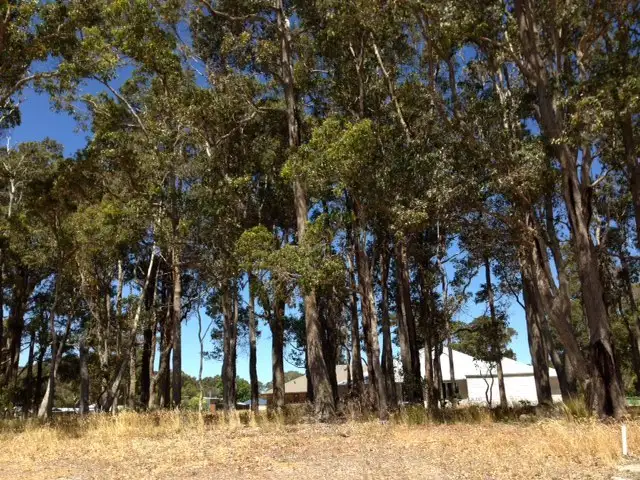 Main view of Homely land listing, 4 (Lot 511) Malbec Street, Cowaramup WA 6284