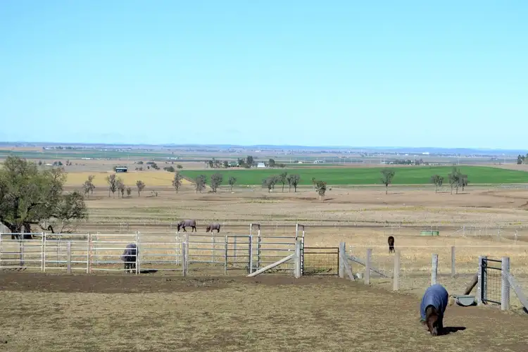 Second view of Homely rural property listing, 172 Greenmount Hirstvale Road, East Greenmount QLD 4359