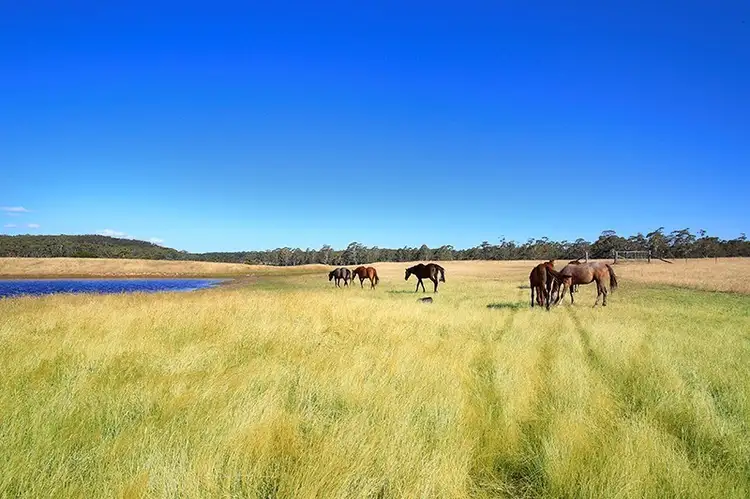Main view of Homely rural property listing, 245 Red Hills Road, Marulan NSW 2579