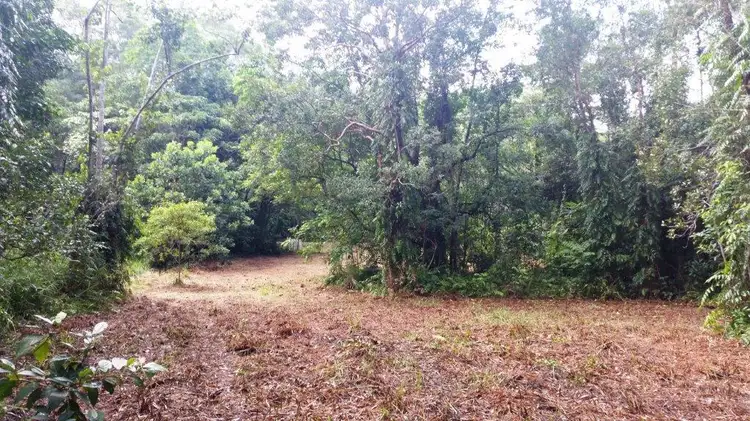 Fourth view of Homely land listing, 68 Forest Creek Road, Daintree QLD 4873
