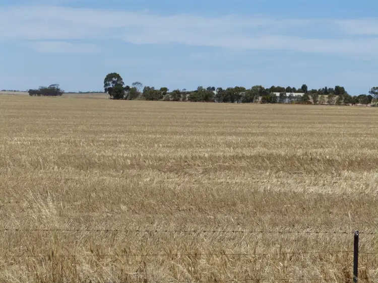 848 Wurfel Road, Pinnaroo SA 5304