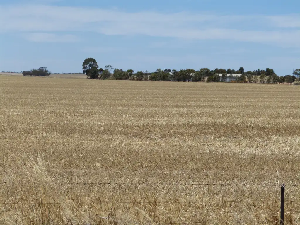 Main view of Homely rural property listing, 848 Wurfel Road, Pinnaroo SA 5304