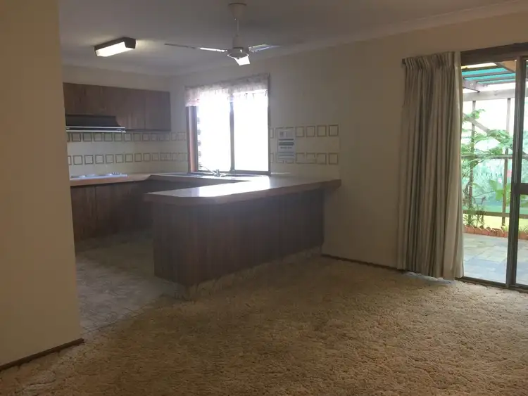 Third view of Homely house listing, 14 Pampas Court, Hollywell QLD 4216