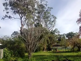 Main view of Homely land listing, 2/28 Avondale Road, Cooranbong NSW 2265