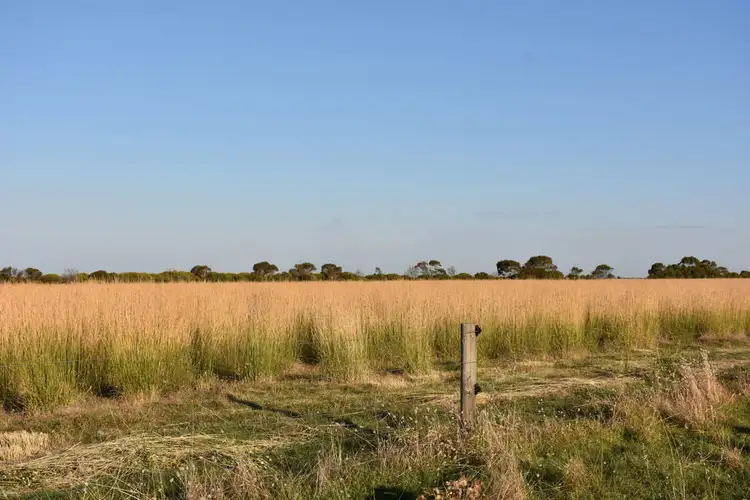 Seventh view of Homely rural property listing, 50 Magazine Lane, Kingston Se SA 5275