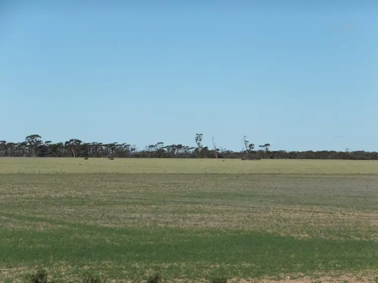 Main view of Homely rural property listing, Lot 1 Pollard, Wongan Hills WA 6603