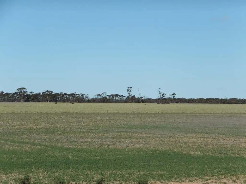Main view of Homely rural property listing, Lot 1 Pollard, Wongan Hills WA 6603
