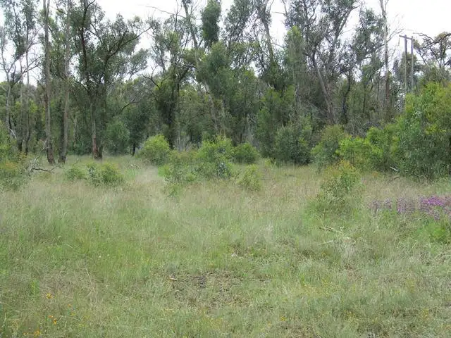 Second view of Homely land listing, 2906 Thunderbolts Way, Inverell NSW 2360