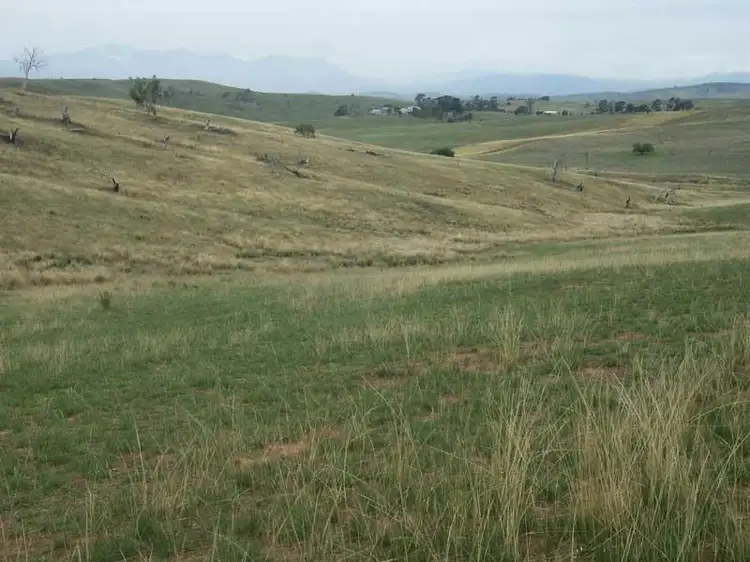Main view of Homely rural property listing, 508 PARISH BOUNDARY LANE VIA OMEO, Hinnomunjie VIC 3898