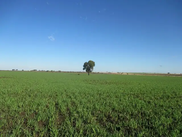 87 BRINSOP ROAD, Muckadilla QLD 4461