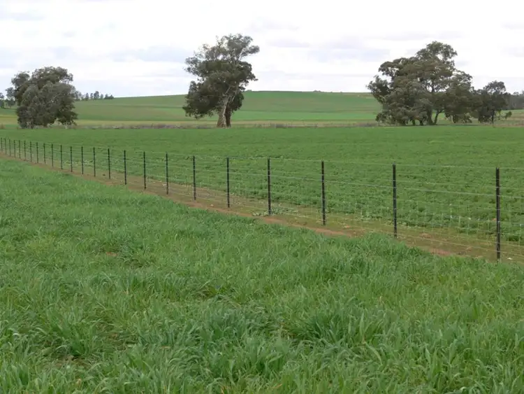 Third view of Homely rural property listing, 53 Badgery Road, Cowra NSW 2794
