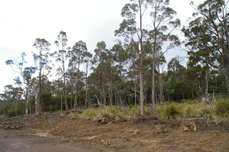 Second view of Homely rural property listing, Lot 3 Distillery Track, Nunamara TAS 7259