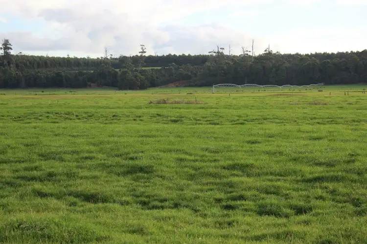 Second view of Homely rural property listing, 24610 Bass Highway, Brittons Swamp TAS 7330