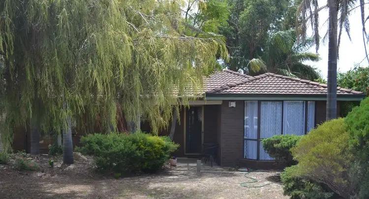 Main view of Homely house listing, 197 Yangebup Road, Yangebup WA 6164